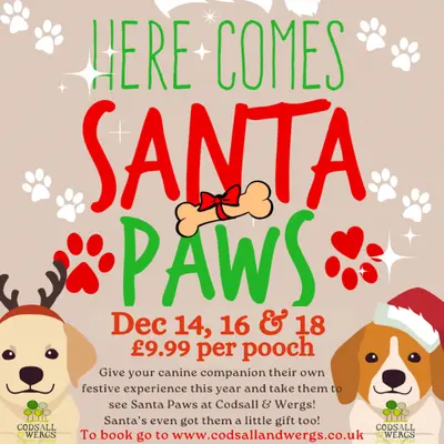 Santa Paws
