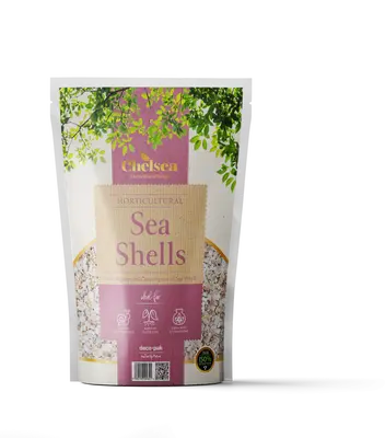 CHELSEA HORTI SEA SHELLS- (POUCH)