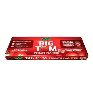 Westland Big Tom Peat Free Tomato Planter - image 1